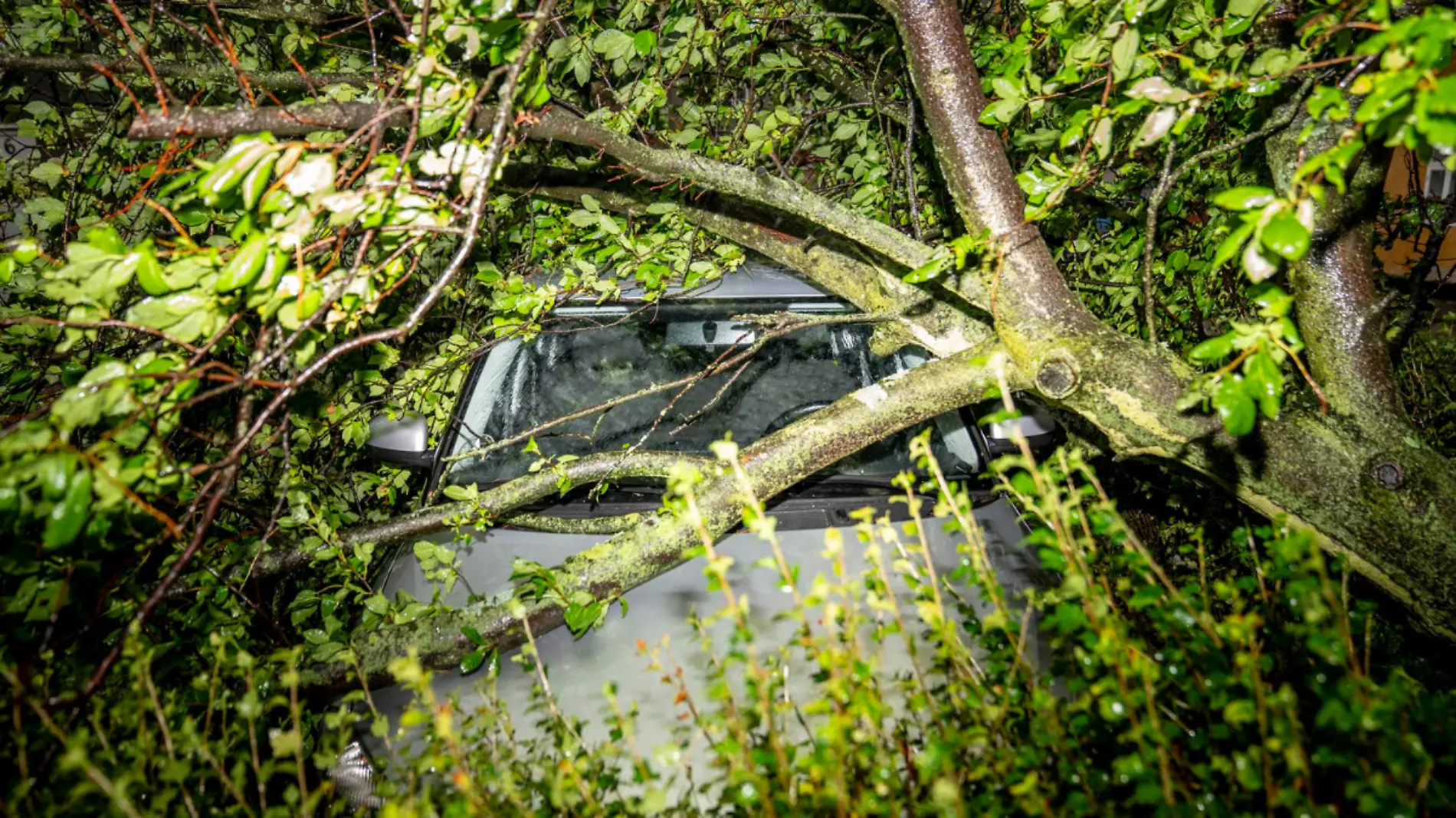 Declaran alerta de emergencia en el norte de Europa y en la región báltica por fuerte temporal